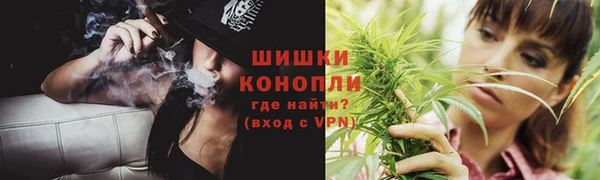 молекула духа Аркадак