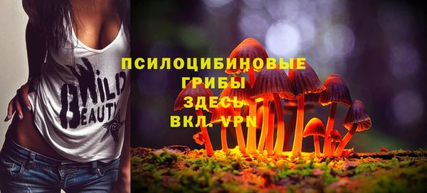 молекула духа Аркадак