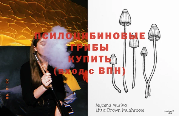 молекула духа Аркадак